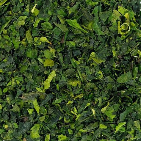 Meet the first tea to crown our Mizuba Heritage loose Leaf Japanese Tea Collection: Tencha 碾茶!   Theres #nofilter on these beautiful leaves!  Naturally as matcha purveyors we hold a high regard for this rare tea. Tencha is the term for leaves that have been properly shade-grown for 20-30 days allowing the leaves to concentrate ample amounts of the sweet amino acid L-theanine - the hallmark of a delicious matcha.   Rarely enjoyed as a steeped tea tencha's main purpose is to be milled into the fin Beautiful Leaves, Japanese Matcha, Green Queen, Steeped Tea, Matcha Green, Amino Acid, Matcha Green Tea, Lower Blood Pressure, Japanese Tea