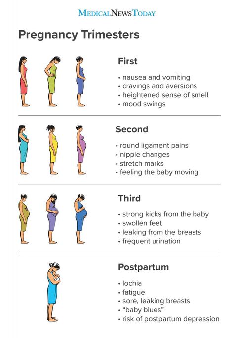 Pregnancy Chart, Postpartum Care Kit, Pregnancy Timeline, Pregnancy Checklist, Planning Pregnancy, Pregnancy Info, Pregnancy Guide, Baby Life Hacks, Pregnancy Advice