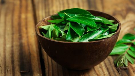 Let's clear up a few misconceptions about curry leaves: First, they are not related to curry powder; the latter is a blend of ground spices, as opposed to the curry leaf-producing plant, called Murraya koenigii. But if you can't get your hands on curry leaves, a few substitutions may do the trick. Diy Hair Oil, Curry Leaf, Home Remedies For Hair, Hair Control, Curry Leaves, Natural Home Remedies, Breast Milk, Hair Oil, Diy Hairstyles