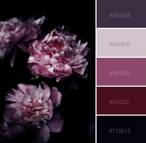 Vampire Color Palette, Color Palette Ideas, Purple Spring, Purple Color Palettes, Color Schemes Colour Palettes, Palette Ideas, Pink Plant, Color Palate, Color Palette Design