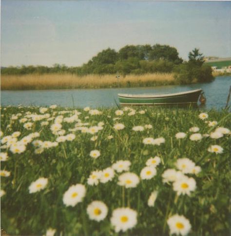 Summer Vintage, Film Aesthetic, Nature Aesthetic, Pretty Places, Aesthetic Photo, Pretty Pictures, Film Photography, Aesthetic Pictures, Summer Vibes