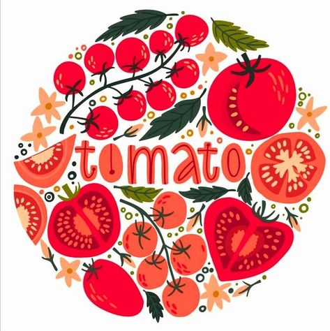 Cherry Tomato Illustration, Tomato Plant Drawing, Tomato Doodle, Tomatoes Illustration, Tomato Poster, Pomegranate Poster, Tomato Illustration, Tomato Drawing, Tomato Design