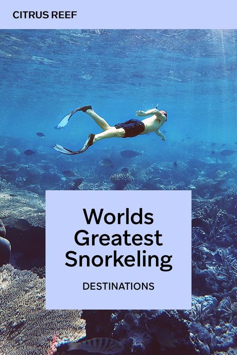 Best Places To Snorkel, Best Snorkeling, Worlds Best, Top 10 List, Ocean Life, Coral Reef, Snorkeling, Where To Go, Places To Travel