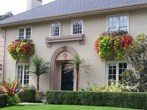 My One-House Drive By (Ok, it was a walk by) Fall Window Boxes, Fall Windows, Window Box Flowers, Window Planters, Flower Window, Garden Windows, Window Boxes, Second Story, Galway