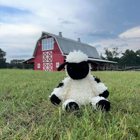 Valais Sheep, Brain Surgery Survivor, Blacknose Sheep, Valais Blacknose, Valais Blacknose Sheep, Scentsy Fall, Be Friendly, Selling Scentsy, Scentsy Buddy