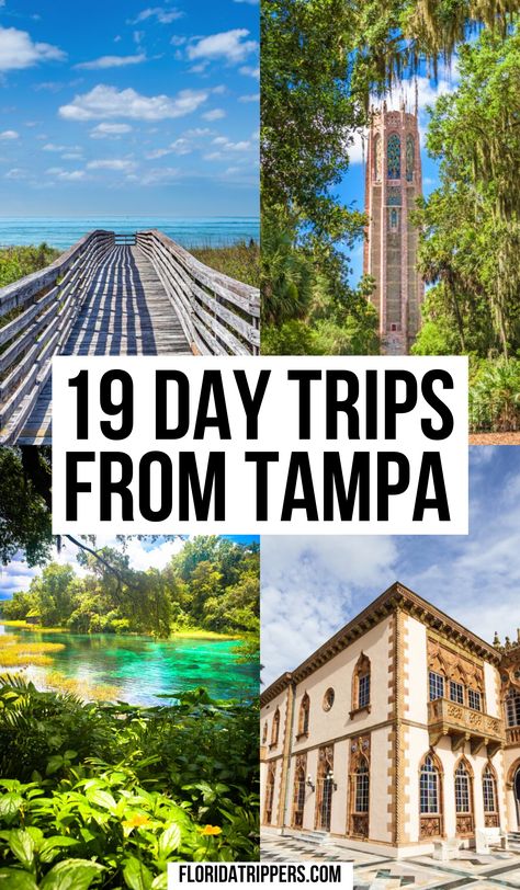 Vacation In Florida, Tampa Fashion, What To Do In Tampa Florida, Florida Day Trips, Things To Do In Tampa Florida For Adults, Things To Do In Florida, Tampa Things To Do, Free Things To Do In Tampa Florida, Bartow Florida