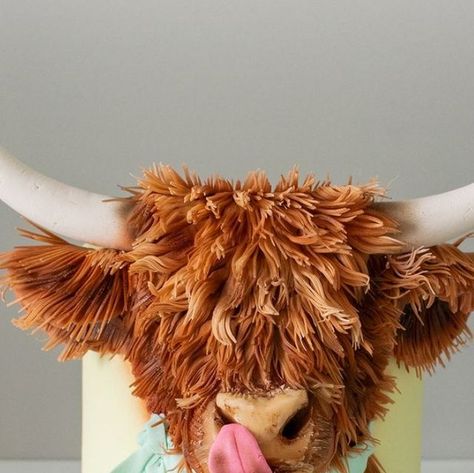 Lollipop Cake Supplies on Instagram: "Ho wis this real life (cake) 🤯 This gorgeous little Highland Cow Cake by @cherryontopcakesandtoppers is literally blowing our mind! The amount of time alone in just the cows fur is dizzying! . . . . #cowcake #fondantart #fondantcake #cakeart #cakeartist #cowtheme #cakesofinstagram #cakedecorating" Fluffy Cow Cake, Highland Cow Smash Cake, Highland Cow Cake Tutorial, Hyland Cow Cake, Highland Cow Birthday Cake, Highland Cow Cake, Cow Birthday Cake, Cow Cake, Lollipop Cake