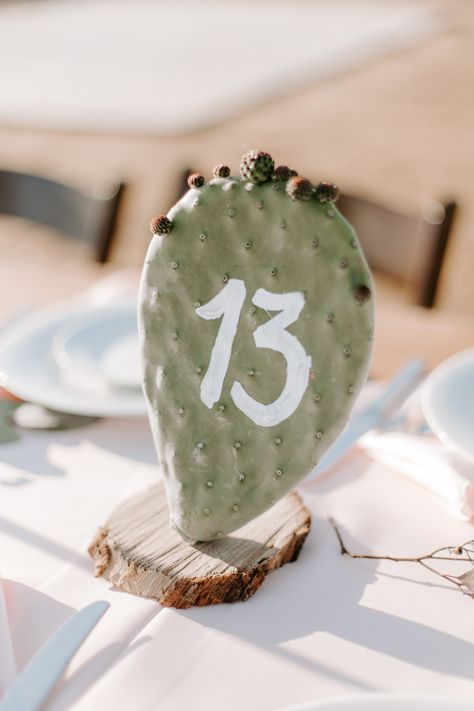 Desert Vibes Wedding, Cactus Table Numbers, Cactus Tablescape, Desert Wedding Colors, Cactus Centerpieces, Desert Reception, Desert Wedding Theme, Desert Theme Wedding, Tree Themed Wedding