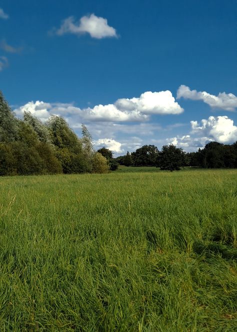 #meadow #late_summer #summer #clouds #green #blue_sky #trees #wide #pasture #aesthetic #picnick Pasture Aesthetic, Summer Clouds, Green Pastures, Blue Sky Clouds, Green Meadow, Heavenly Places, Play Pretend, Ren Fair, Green Pasture