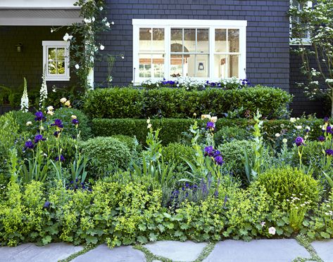 Wyoming Landscaping, Conifer Landscaping, Flowering Hedges, Garden Rockery, Backyard Planting, Farm Plants, Impatiens Flowers, Entry Patio, Driveway Border