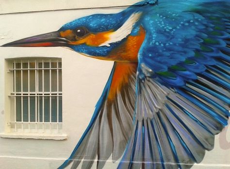 Kingfisher  east dulwich wall art Bird Mural, Street Art Illusions, Street Art Utopia, Wall Street Art, Sidewalk Art, Street Mural, Best Street Art, Urban Street Art, 3d Street Art