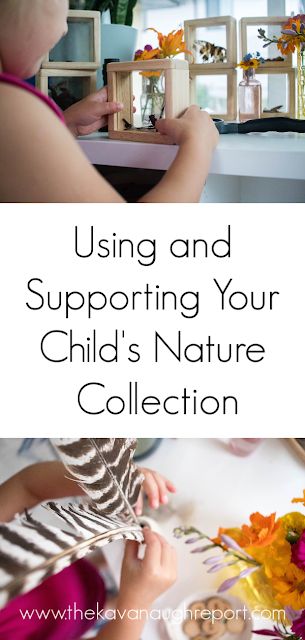 Supporting and Using your Child's Nature collection - easy science and nature discovery for your Montessori home Homeschooling Science, Montessori Home, Montessori Parenting, Infant Classroom, Montessori Method, Homeschooling Resources, Toddler Classroom, Montessori Ideas, Montessori Education