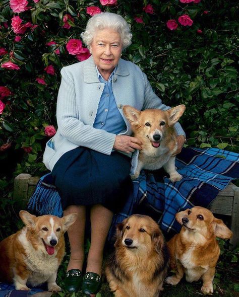 So there! Our mom is the Queen of England!!  check out http://www.upscaledogtoys.com - excellent dog toys at a great price. visit our sister site - http://www.bottlemeamessage.com great gift Vanity Fair Covers, Vanity Fair Magazine, Rainha Elizabeth Ii, Corgi Puppies, Queen E, Elisabeth Ii, Annie Leibovitz, Carla Bruni, Queen Of England