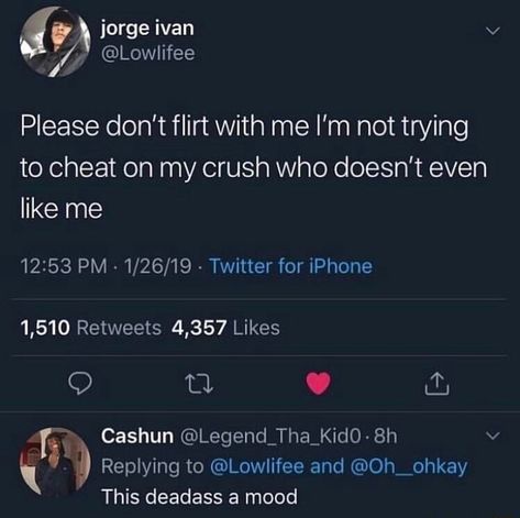 Please don't flirt with me I’m not trying to cheat on my crush who doesn't even like me - iFunny :) Crush Quotes Funny, Hopeless Crush Quotes, Funny Crush Memes, Cute Crush Quotes, Crush Quotes For Him, Secret Crush Quotes, Crush Humor, Crush Memes, Relatable Crush Posts