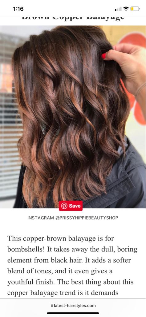 Copper And Purple Balayage, Violet Copper Balayage, Copper Violet Hair, Golden Violet Brown Hair, Deep Violet Raspberry Balayage, Copper Balayage, Black Hair Balayage, Brown Balayage, Copper Hair