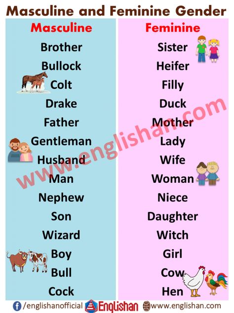 100 Examples of Masculine and Feminine Gender List Masculine And Feminine Worksheet, Gender Worksheet, Masculine And Feminine Gender, Feminine Words, Gender Of Animals, Opposite Words For Kids, Gender Words, All Traffic Signs, Math Olympiad