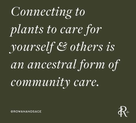 Herbalist Quotes, Herbalism Quotes, Natural Healing Quotes, Medicinal Herbs Remedies, Herbal Education, Essential Oils Herbs, Herbal Apothecary, Herbal Magic, Healing Arts