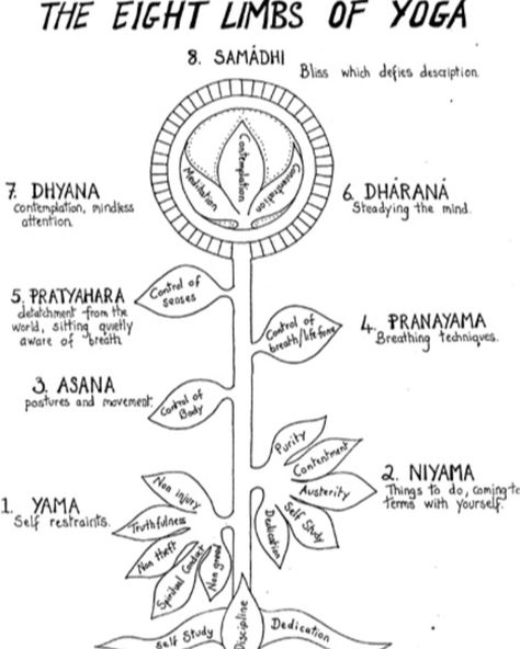 Did you know that the physical practice (ASANA) is only 1 out of the 8 limbs of YOGA?! Say WHAT, Jen Hilman?! Yeah!  There is so much more... like the study of the mind, breath, detachment from the world, self restraint, etc... It's time to look at your HEALTH more holistically.  We are not just a body that exercises, eats and sleeps!  We are so much more and in order to attain TRUE health and Wellness it's so important to attend to all of our needs.  Look out here tomorrow for my new post to he Yama Niyama, Yoga History, Yamas And Niyamas, Eight Limbs Of Yoga, 8 Limbs Of Yoga, Pranayama Breathing, Yoga Teaching, Yoga Tree, Yoga Nature