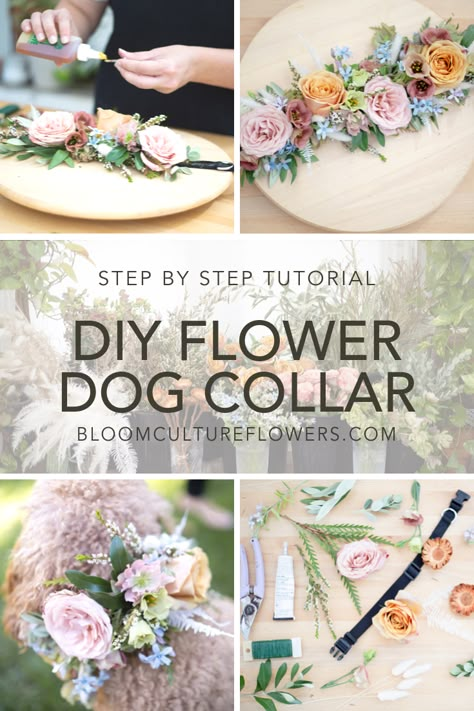 DIY: Floral Dog Collar — Bloom Culture Flowers Diy Dog Flower Collar Weddings, Diy Flower Collar For Dog, Wedding Dog Leash Diy, Flower Dog Wedding Collar, Flower Collar For Dog Wedding, Diy Dog Wedding Collar, Dog As Ring Bearer Ideas, Diy Flower Dog Collar, Dog Flowers Wedding