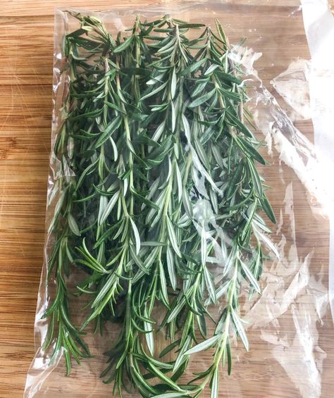 How To Store Fresh Rosemary, Uses For Rosemary, Store Fresh Herbs, Drying Fresh Herbs, Freezing Herbs, Rosemary Herb, Rosemary Plant, Harvesting Herbs, Medicinal Herb