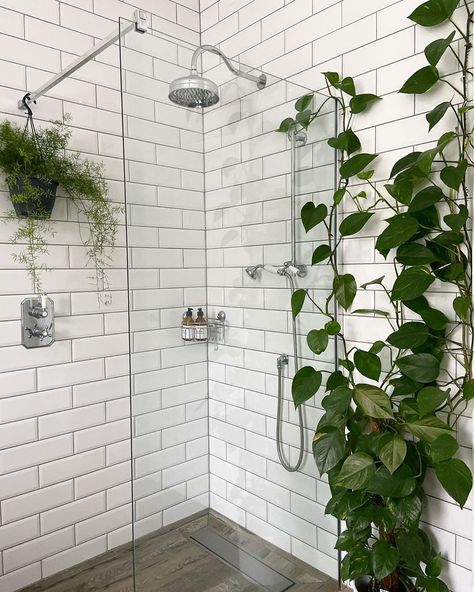 Shower With Plants, Pothos Wall, Pothos In Water, White Herringbone Tile, Double Shower Heads, Wet Room Bathroom, White Tile Shower, Tropical Showers, Rustic Bookshelf