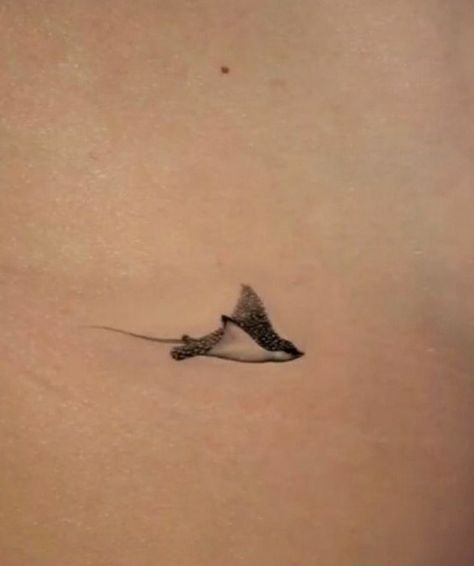 Dainty Sea Tattoos, Tattoo Sea Creatures, Marine Mammal Tattoo, Cute Sea Animal Tattoos, Small Tattoos Sea Ocean, Ocean Tattoo Ideas Female, Tattoo Ocean Animals, Small Marine Tattoos, Small Sea Themed Tattoos