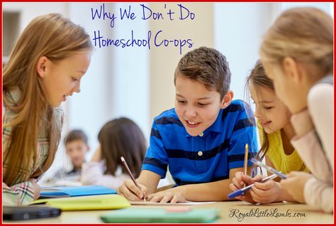 Why We Don’t Do Homeschool Co-ops Write Essay, Peer Assessment, Writing Games, Elie Wiesel, Persuasive Essays, Education Motivation, Argumentative Essay, Education Quotes For Teachers, Theodore Roosevelt