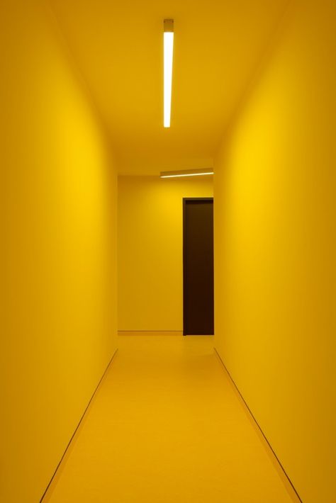 Colourful Corridor, Yellow Corridor, Yellow Aesthetics, Best Hd Background, Yellow Aesthetic Pastel, Cb Editing Background, Cb Editing, Photoshop Digital Background, Blurred Background Photography