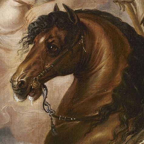 Baroque Horse | Peter Paul Rubens - Baroque horse head Turkish Costume, Baroque Horse, Saint George And The Dragon, Portrait On Canvas, Paul Rubens, Antique Portraits, Antique Folk Art, Equestrian Art, Peter Paul Rubens