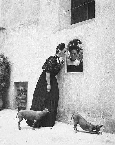 Explore Chickeyonthego's photos on Flickr. Chickeyonthego has uploaded 4864 photos to Flickr. Kahlo Paintings, Frida And Diego, Dora Maar, Hairless Dog, Frida Art, Edward Weston, Frida Kahlo Art, Diego Rivera, Mexican Artists