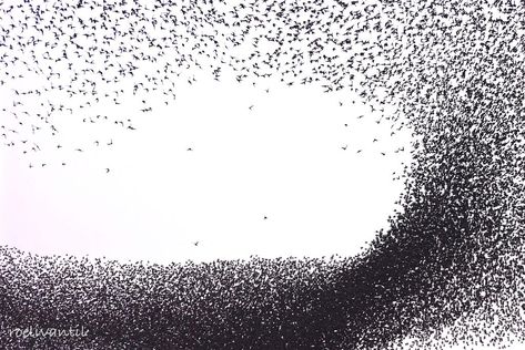 Starling Murmuration, Common Starling, Murmuration Art, Embroidery Styles, Shutter Speed Photography, Creative Coding, Tattoo Board, Flying Together, Photography Cheat Sheets