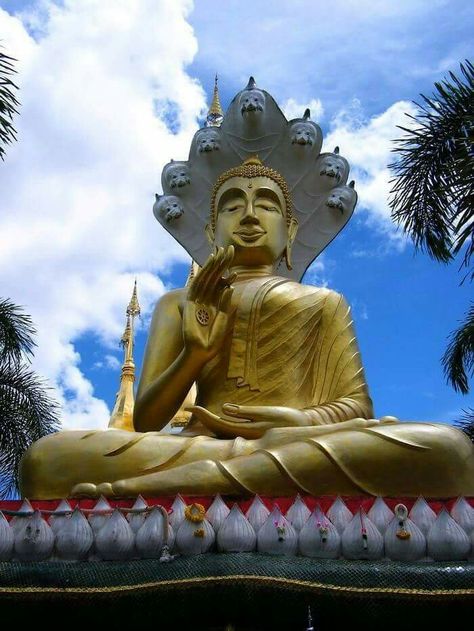 Pakse, Chaweng, Golden Buddha, Luang Prabang, Aesthetic Photo, Laos, Statue Of Liberty, Brisbane, Buddha Statue