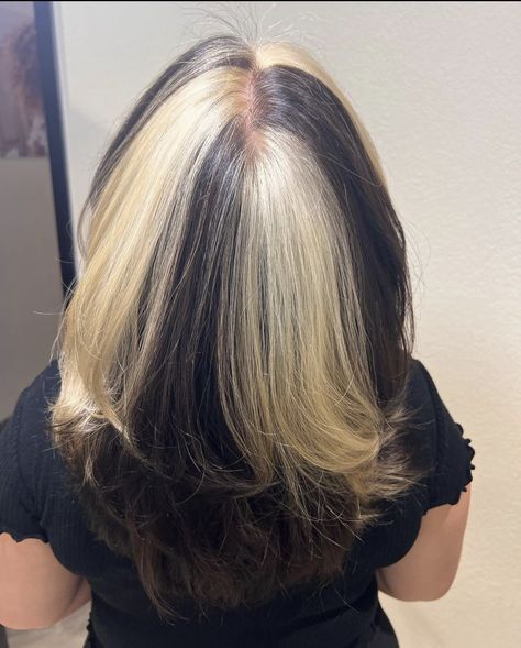 Color Block Blonde And Brown, Hair Block Coloring, Color Blocking Hair Ideas, Blonde Color Block, Hair Blocking, Chunky Highlights, Black Hair With Highlights, White Highlights, Dye Ideas