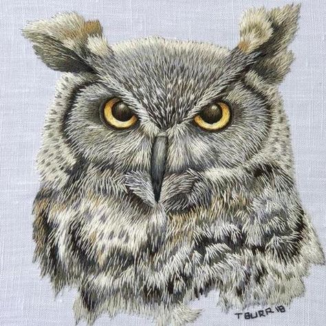 PDF Geat Horned Owl Trish Burr Embroidery, Trish Burr, Stem Stitch, Owl Embroidery, Crewel Embroidery Kits, Great Horned Owl, Bird Embroidery, Stitch Ideas, Thread Painting