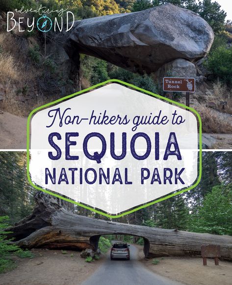 Beyond hiking in Sequoia, we enjoyed a few other sights that are worth visiting while in Sequoia. Here is our non-hikers guide to Sequoia National Park Redwoods Vacation, Yosemite Sequoia, Yosemite Trip, Cali Trip, California Roadtrip, Camping Sites, Travel California, Kings Canyon National Park, Destination Ideas