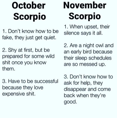 Zodiac Mind Scorpio, Scorpions Zodiac, October Libra, Zodiac Quotes Scorpio, Astrology Scorpio, Scorpio Traits, Zodiac Signs Chart, Scorpio Love, Scorpio Zodiac Facts