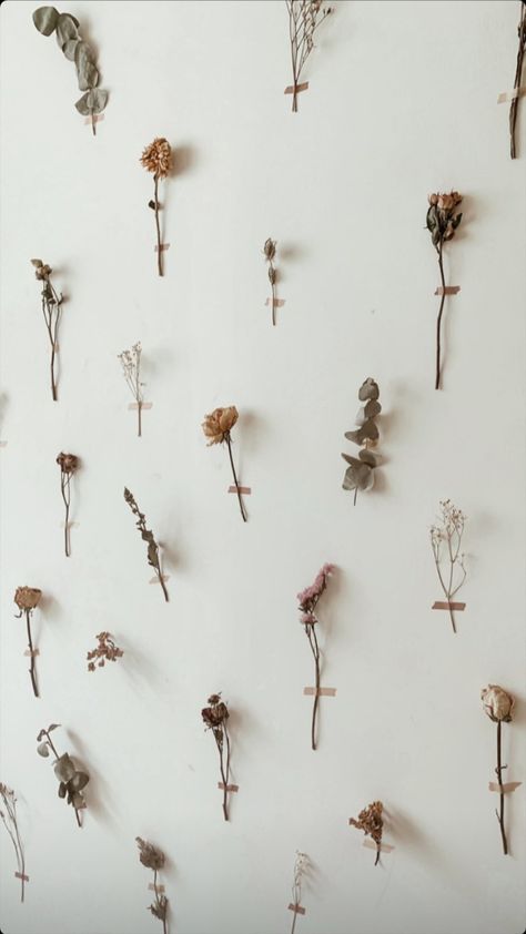 Dried Flowers Hung On Wall, Fairy Garden Room Aesthetic, How To Decorate A Bedroom Wall, Flower Hanging Wall Decor, Dried Flowers Wall, Pressed Flower Wall, Photo Studio Design, Minimalist Apartment Decor, Diy Room Decor For Teens