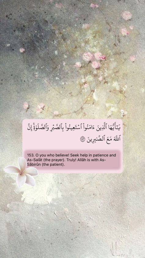 Islam, viral, pink, aesthetic, bow, flower, surah Al Baqarah, Quran, wallpaper, Muslim, Muslimah, avtumn7 Pink Aesthetic Bow, Wallpaper Muslim, Surah Al Baqarah, Aesthetic Bow, Barbie Fairy, Al Qur'an Aesthetic, Quran Wallpaper, Appreciate Life Quotes, Islamic Wallpaper Iphone