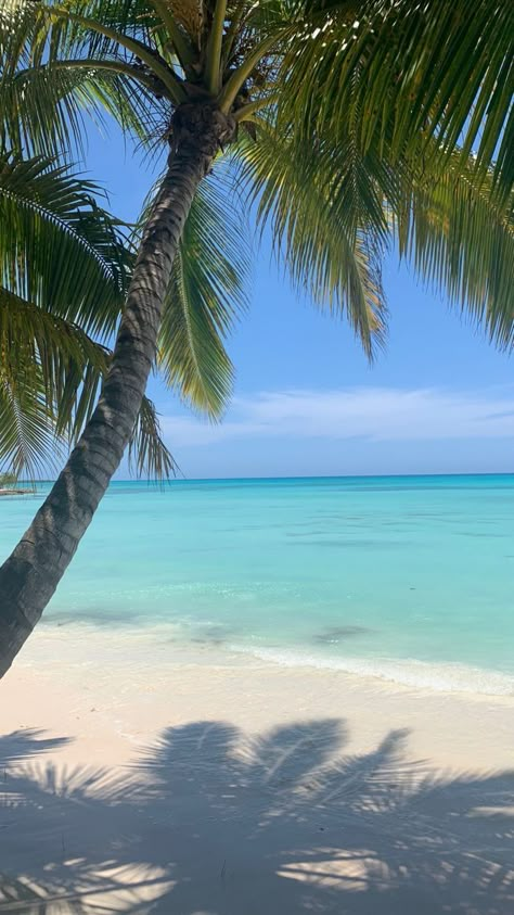 Aesthetic Coconut, Island Aesthetic, Lake Beach, Water Sea, Beach Water, Canoeing, Ocean Beach, Maldives, Boating