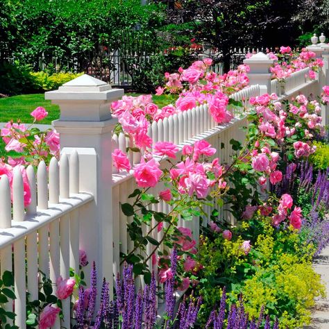 10 Favorite Flower Bed Ideas for the Front of Your House  ||  Are you looking for front of house flower bed ideas? Then look no further! These 10 top ideas will give your home instant curb appeal. https://www.familyhandyman.com/garden/flower-bed-ideas-front-of-house/ Gard Modern, Pagar Modern, White Fence, Front Yard Fence, Garden Wallpaper, White Picket Fence, Fence Landscaping, Modern Fence, Outdoor Gardens Design