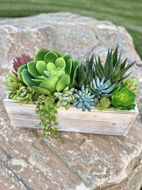 Potting Succulents, Succulent Arrangements Diy, Wooden Succulent Planter, Succulent Centerpiece, Succulent Ideas, Succulent Decor, Succulent Landscape Design, Deco House, Wooden Planter