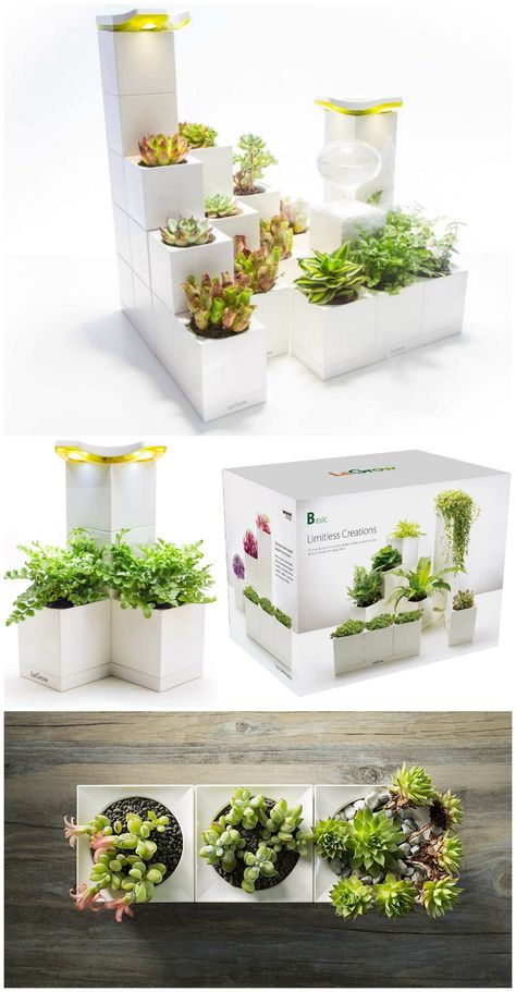 Starter Garden, Indoor Farming, Succulent Garden Indoor, Plant Pot Design, Indoor Greenhouse, Flower Pot Design, Self Watering Pots, Garden Plant Pots, Smart Garden