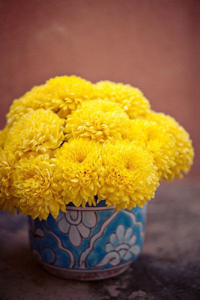 @ Megan DiPaolo, yellow mums in pretty mugs, teapots or bowls, possibly from chinatown! Wedding Arch Flowers, Boda Mexicana, Arch Flowers, Wallpaper Flower, Pretty Mugs, Wedding Tattoos, Mexico Wedding, Mellow Yellow, Wedding Arch