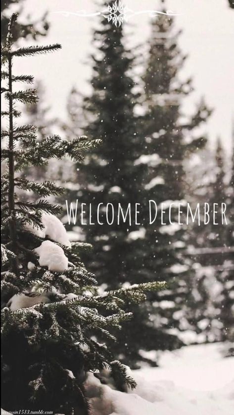 Welcome December Images, Hello December Pictures, Hello December Images, December Images, Welcome December, December Wallpaper, Seasons Months, Hello December, December Birthday