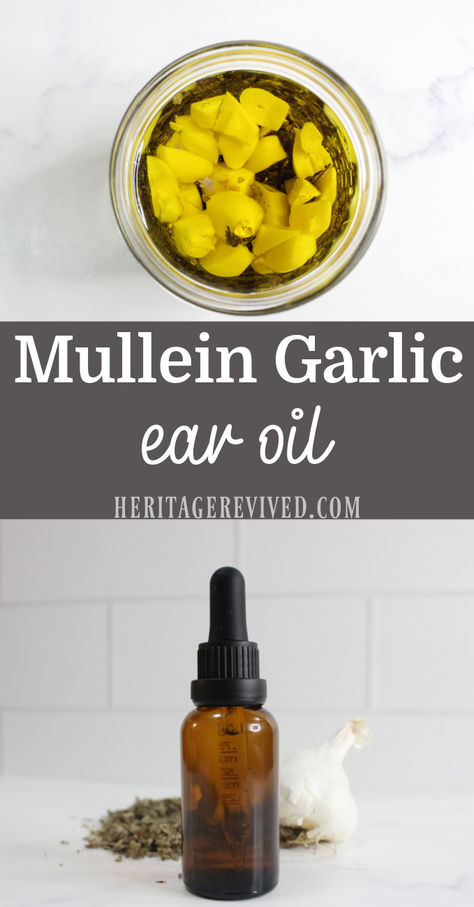 Garlic in oil with dropper bottle of ear oil below, and text "Mullein garlic ear oil" Garlic In Ear For Earache, Mullein Ear Oil, Mullein Garlic Ear Drops, Garlic Ear Oil, Garlic Mullein Ear Oil, Garlic Oil For Earache, Garlic In Ear, Garlic Ear Drops, Garlic Oil Recipe