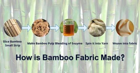 Waste Material Products, Material Experiment, Bamboo Species, Bamboo Plant, Plant Care Houseplant, Bamboo Yarn, Bamboo Sheets, Women's Spurs, Bamboo Clothing