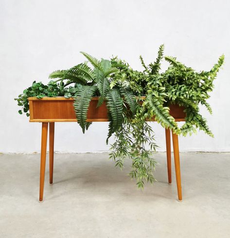 Plant Troughs, Diy Wooden Planters, Mid Century Modern Plants, Plant Pots Crafts, Botanical Interior, Wooden Plant Pots, Garden Plant Stand, Planter Stand, House Plants Decor