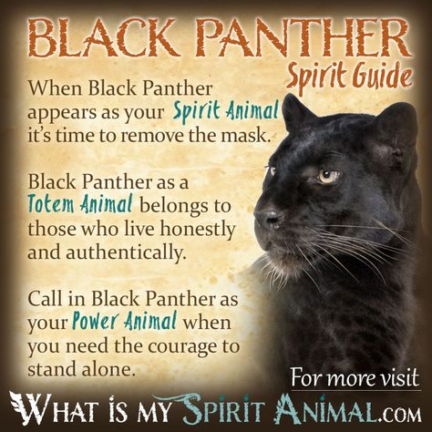 Black Panther Spirit Totem Power Animal Symbolism Meaning 1200x1200 Panther Symbolism, What Is My Spirit Animal, Panther Spirit, Animal Totem Spirit Guides, Symbolism Meaning, Spirit Animal Meaning, Animal Meanings, Spirit Animal Totem, Animal Spirit Guide