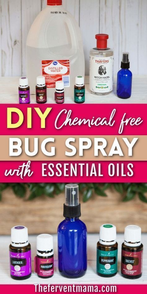 The Fervent Mama shares a DIY bug spray with essential oils. Need a bug spray but don't want harsh chemicals? Make this DIY bug spray with your favorite essential oils! It kills the bugs while making your house smell good! Young Living Bug Spray, Homemade Bug Spray Essential Oils, Young Living Bug Spray Recipe, Diy Essential Oil Bug Spray, Bug Spray Essential Oils, Essential Oil Bug Spray Recipe, Diy Bug Repellent Spray, Essential Oil Sprays, Essential Oil Bug Repellent