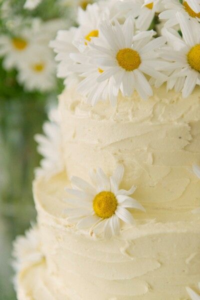 Daisy wedding cake ... maybe I could do this with paper flowers Daisy Wedding Cake, Daisy Wedding Cakes, Daisy Cakes, Daisy Wedding, Dusty Miller, Australia Wedding, Sydney Wedding, Marrying My Best Friend, Yellow Wedding